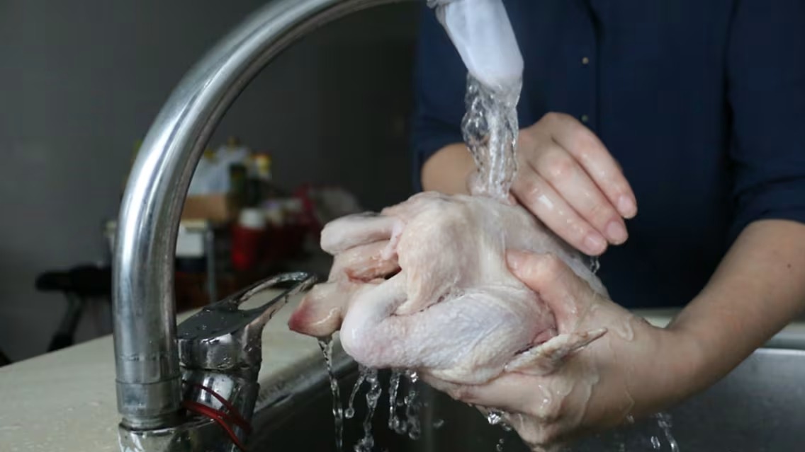 Toyuq yumaq vərdişini unudun: Xəstəlik yayırsınız! Toyuq yumaq vərdişini unudun: Xəstəlik yayırsınız!