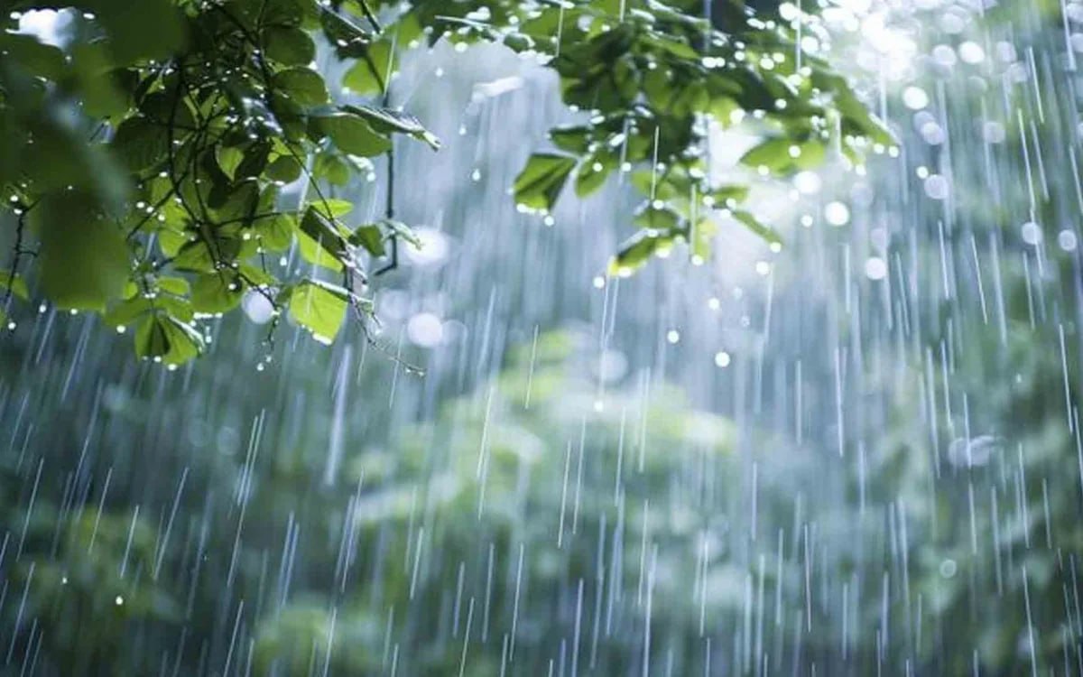 Sabah Azərbaycanın rayonlarına yağış və qar yağacaq - PROQNOZ