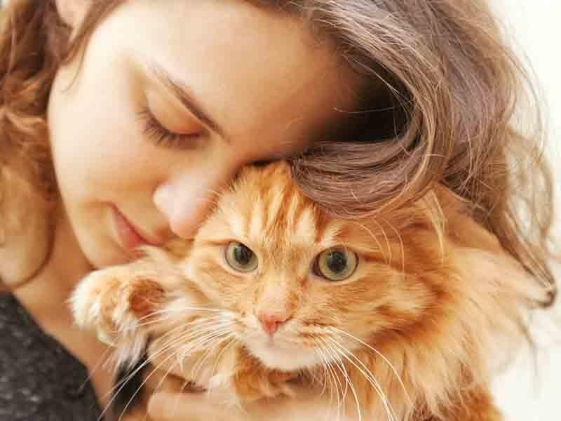 Tək cızıq kifayətdir: Pişiklərdən insanlara keçən göbələk növü aşkar edildi Tək cızıq kifayətdir: Pişiklərdən insanlara keçən göbələk növü aşkar edildi