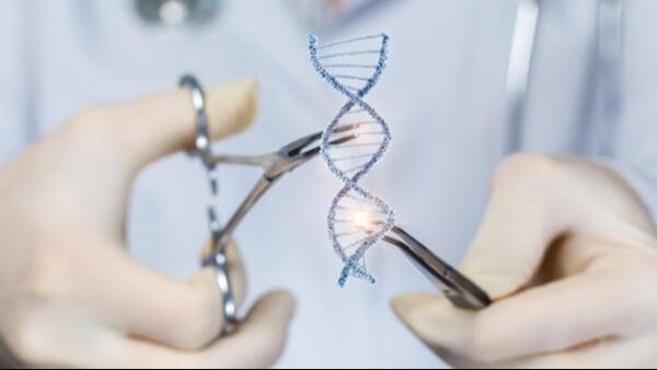 Azərbaycanda insanın klonu patent obyekt kimi qəbul EDİLMƏYƏCƏK Azərbaycanda insanın klonu patent obyekt kimi qəbul EDİLMƏYƏCƏK