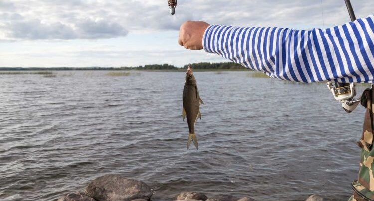 Sabahdan Azərbaycanda balıq ovu QADAĞAN EDİLİR Sabahdan Azərbaycanda balıq ovu QADAĞAN EDİLİR