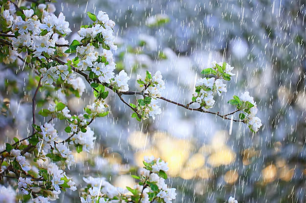 Yağış yağacaq, güclü külək əsəcək &ndash; SABAHIN HAVASI