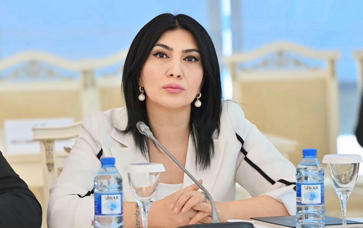 &ldquo;Bu, sadəcə divara rəsm çəkmək deyil, vandalizm aktıdır&rdquo;