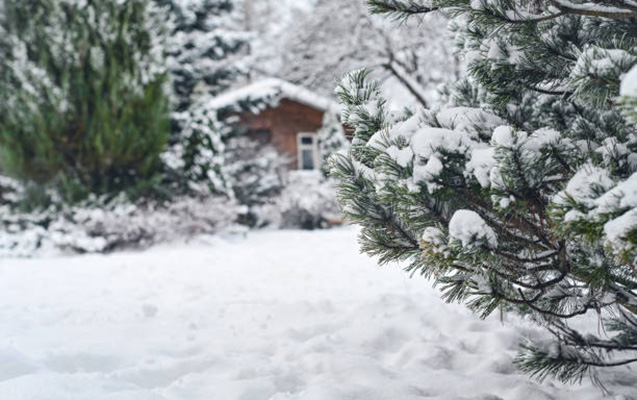 Xınalıq kəndinə qar yağdı - ANBAAN VİDEO