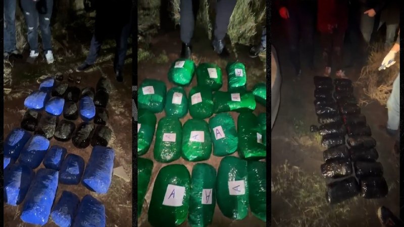 Qaradağda əməliyyat: 5 nəfər tutuldu - VİDEO