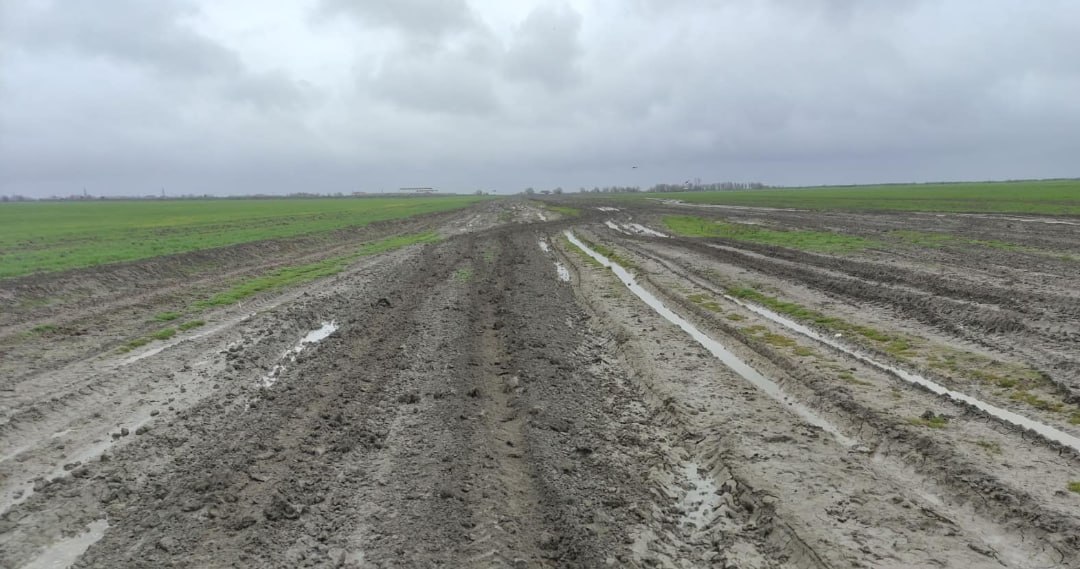 Əkin sahələrini su basan fermerlərin DİQQƏTİNƏ – Sığorta ilə bağlı RƏSMİ AÇIQLAMA Əkin sahələrini su basan fermerlərin DİQQƏTİNƏ – Sığorta ilə bağlı RƏSMİ AÇIQLAMA