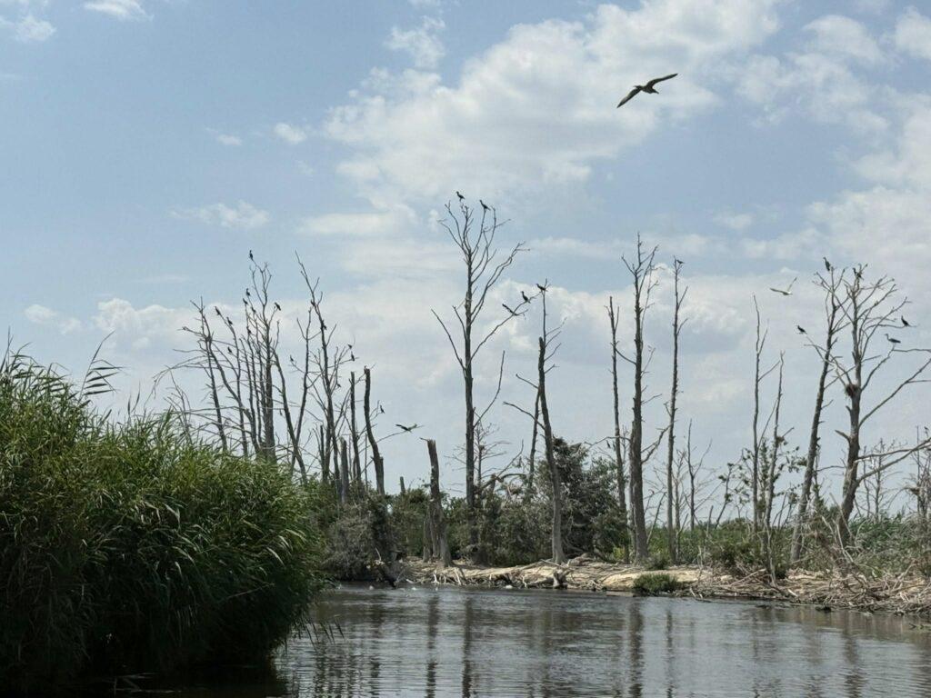 Qobustanda uşaq gölməçəyə düşərək ölüb