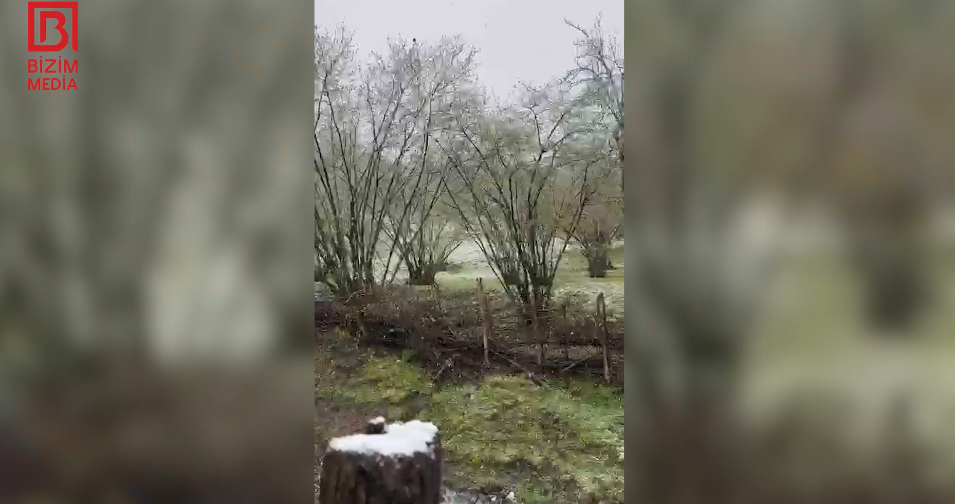 Zaqatalaya qar YAĞIR &ndash; VİDEO