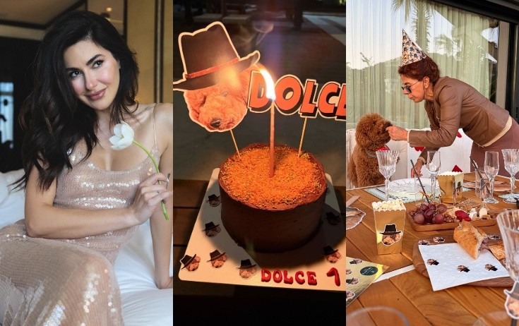 Nəsrin itinə ad günü etdi - Video