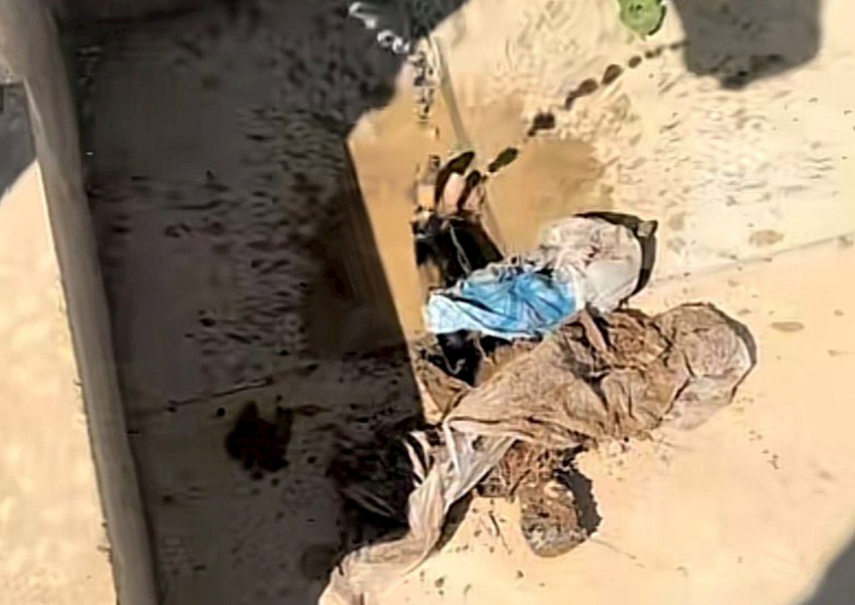 Bakıda evi yeni alan şəxslər həyətdən cadu tapdılar — VİDEO Bakıda evi yeni alan şəxslər həyətdən cadu tapdılar — VİDEO