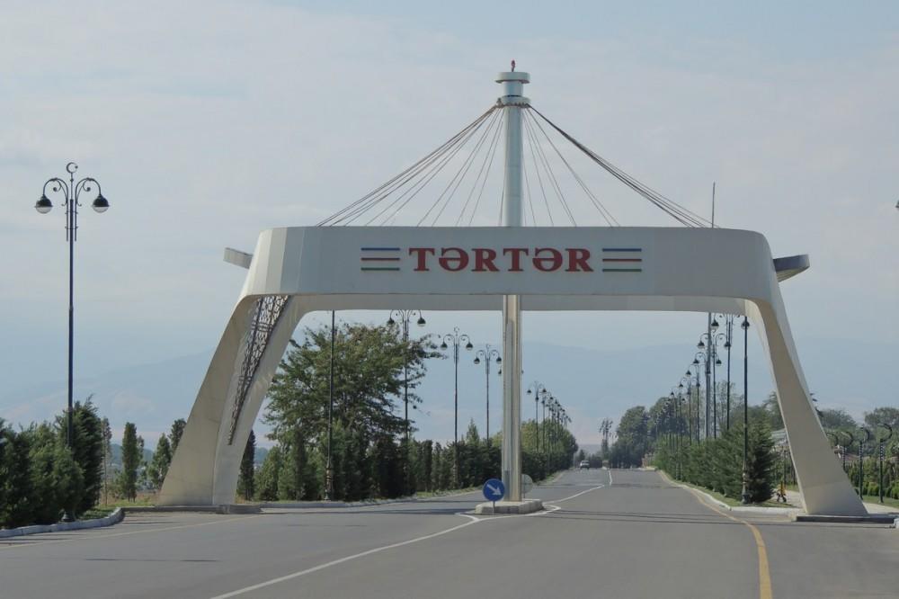 Tərtərdəki qətlin səbəbi bir il əvvəlki insident imiş - DETALLAR