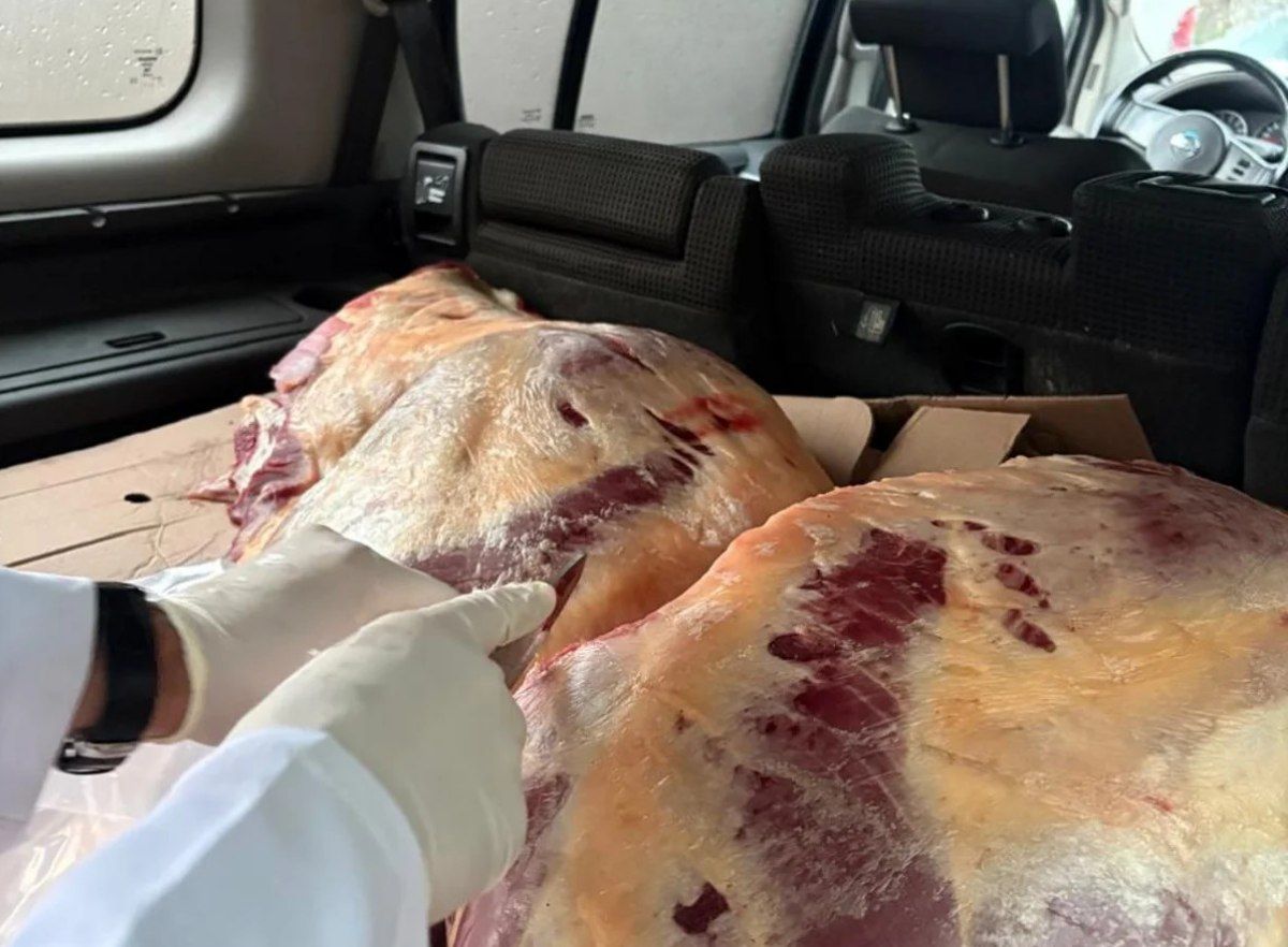 Bakıya satmağa apararkən avtomobildə ələ keçdi - FOTO Bakıya satmağa apararkən avtomobildə ələ keçdi - FOTO