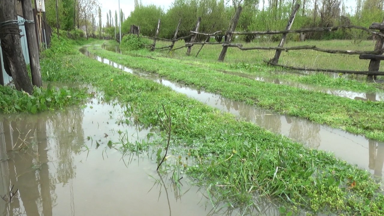 İntensiv yağışlar Balakəndə kəndlilərin təsərrüfatına ciddi ziyan vurub - FOTO