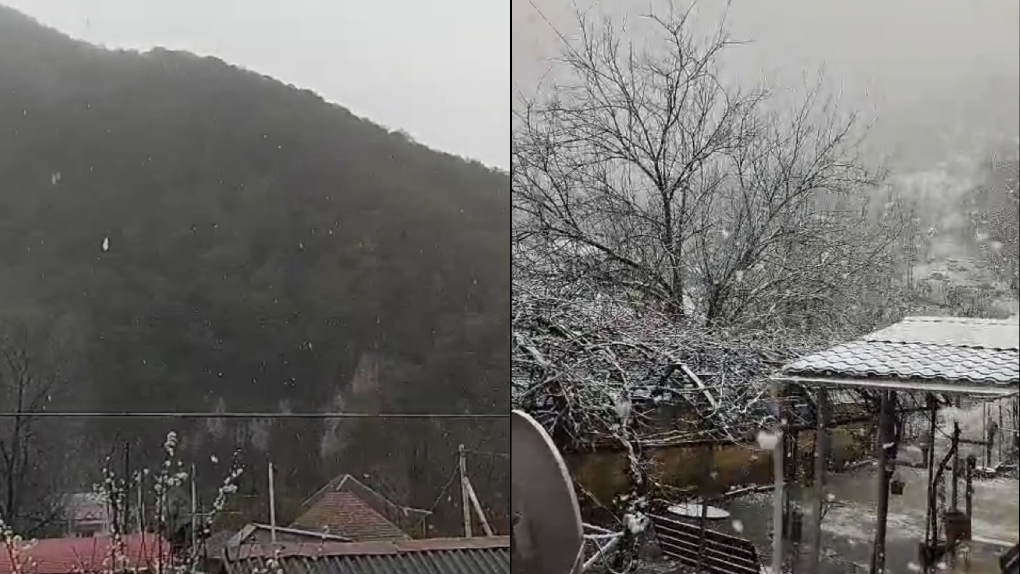 Bu rayona yağan qar təsərrüfatlara ziyan vurdu - VİDEO