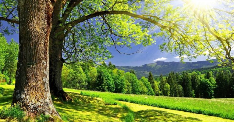 Hava şəraiti nə vaxt sabitləşəcək? Hava şəraiti nə vaxt sabitləşəcək?