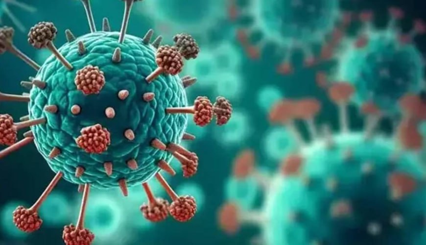 Yeni təhlükə: insanlarda korluğa səbəb ola bilən virus aşkarlandı Yeni təhlükə: insanlarda korluğa səbəb ola bilən virus aşkarlandı
