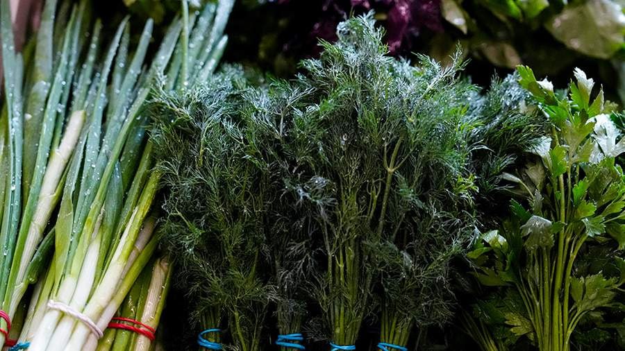 İdeal YAZ PƏHRİZİ – Bu məhsulları mütləq qida rasionuna daxil edin İdeal YAZ PƏHRİZİ – Bu məhsulları mütləq qida rasionuna daxil edin