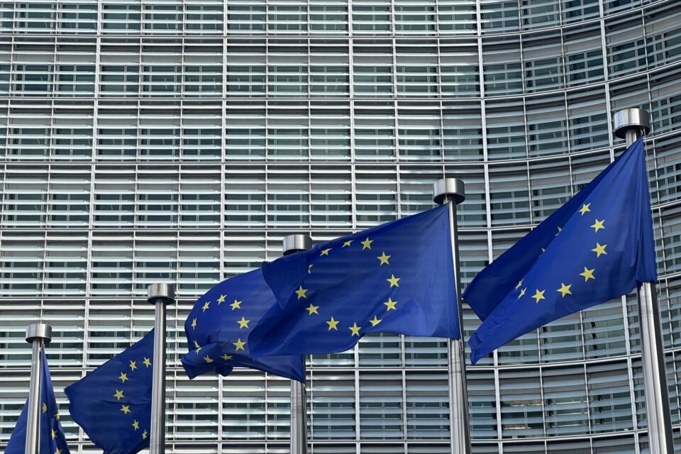 Aİ ölkələrində əhalinin sayı AZALACAQ