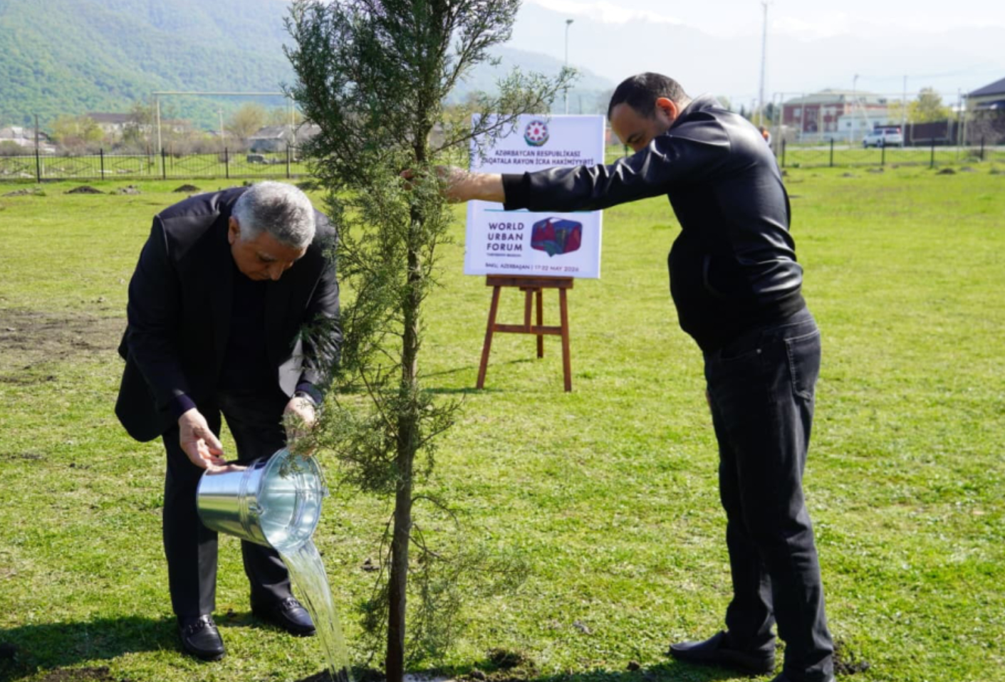 Zaqatalada ağacəkmə aksiyası - FOTO