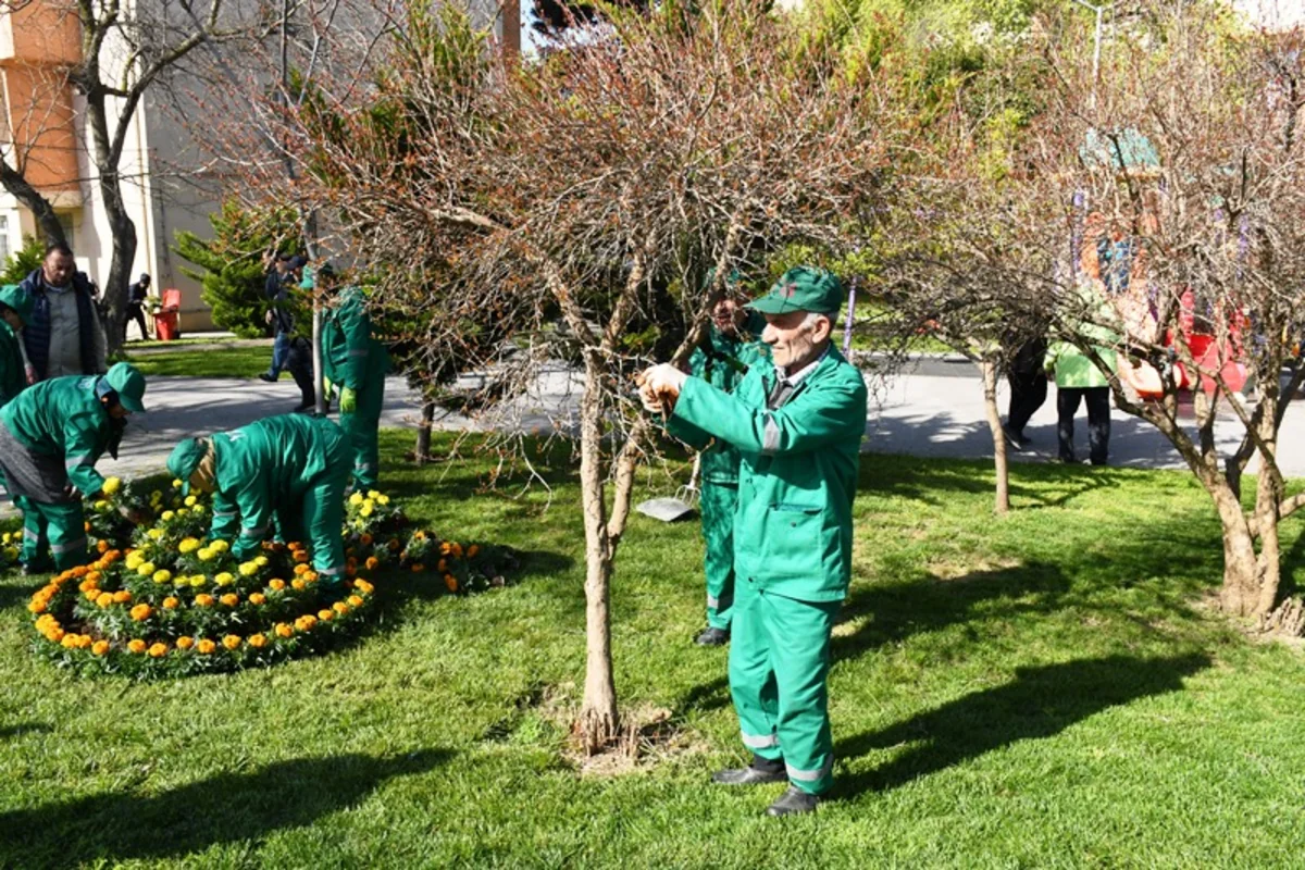 Bakıda küçələr xüsusi maddələrlə yuyulub - FOTO