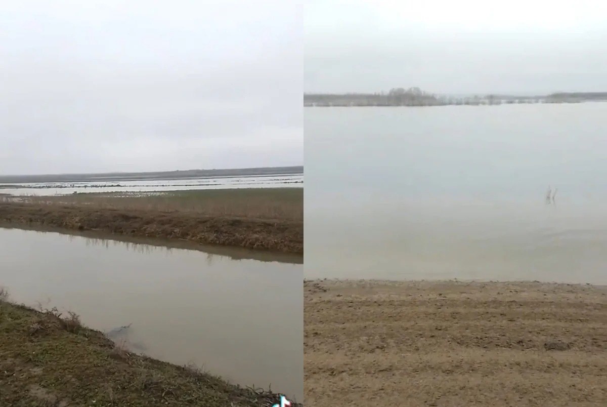 Kür çayı daşdı, əkin sahələrini su basdı - FOTO