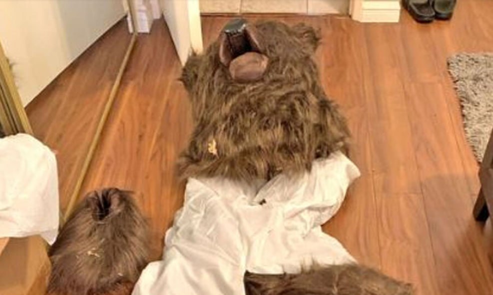 Ermənilər ayı paltarı geyinib, maşınlara hücum etdilər &ndash; ABŞ-da FİLM KİMİ CİNAYƏT