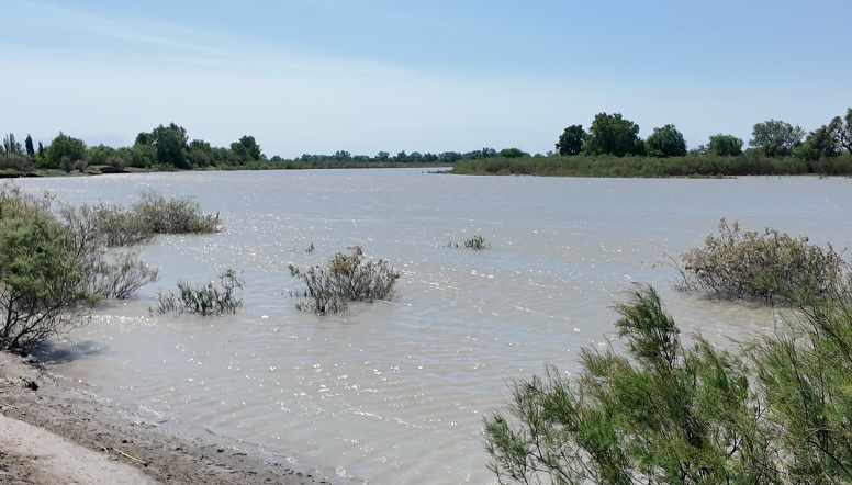 "Dəli Kür" sakitləşməyə başlayır: Zərdabda son vəziyyət &ndash; VİDEO
