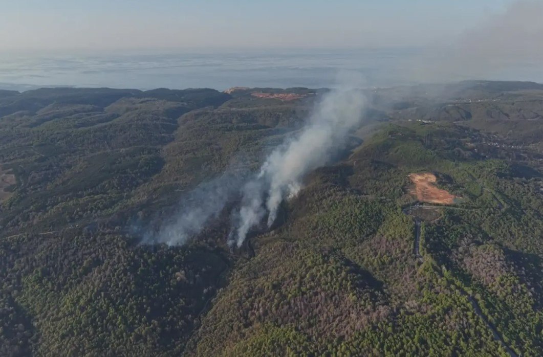 Türkiyədə meşə yanğını: 3 helikopter havaya qaldırıldı - VİDEO