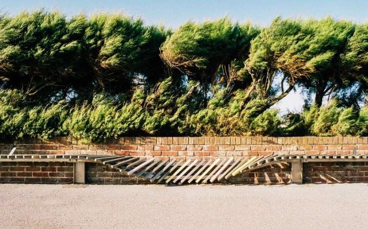 &ldquo;Hündür ağacların altında dayanmayın!&rdquo; - Güclü küləklə bağlı XƏBƏRDARLIQ