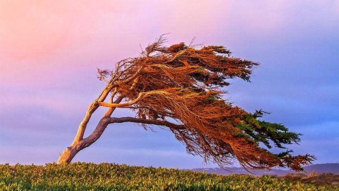 Külək nə vaxt dayanacaq... - AÇIQLAMA
