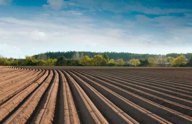 Suqovuşanda əkin üçün torpağa sahiblənmək istəyənlərə MÜJDƏ
