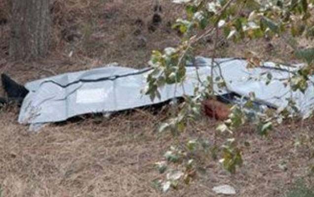 Goranboyda ağacların arasından meyit tapıldı