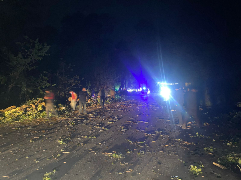 Ağac aşdı, Gəndob-Yalama yolu BAĞLANDI - FOTO