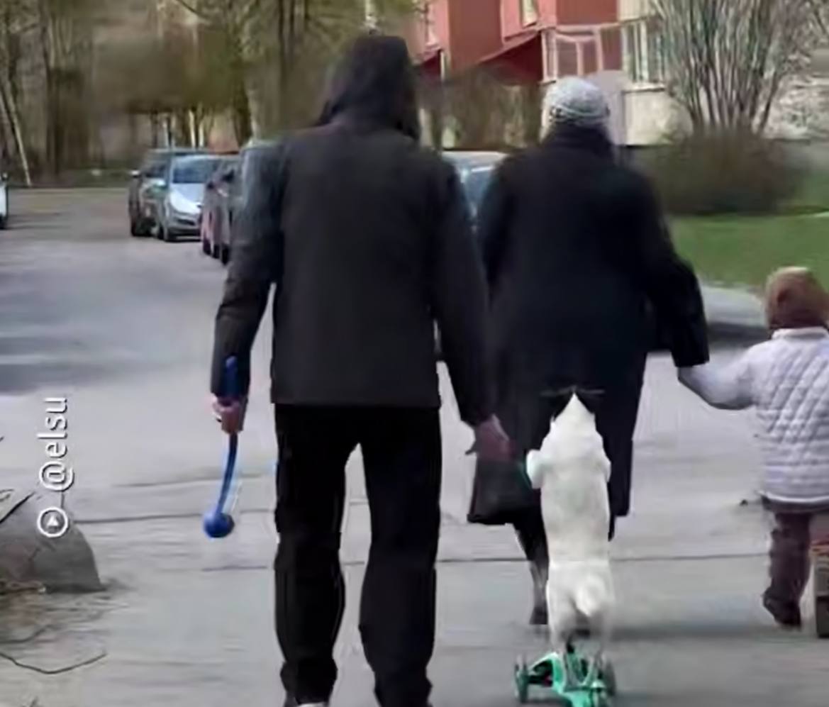 İtin &ldquo;samokat səyahəti&rdquo; kameraya düşdü &ndash; VİDEO