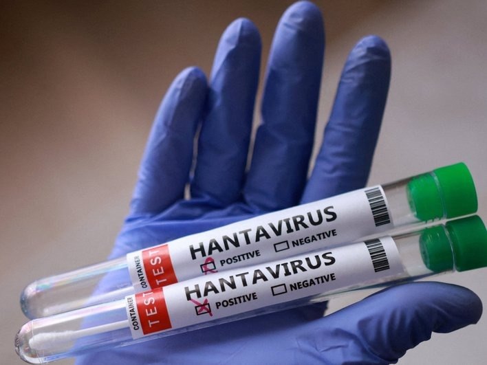 Hantavirusun hansı heyvandan keçdiyi BİLİNDİ &ndash; Bu ölkələrdə olur - FOTO