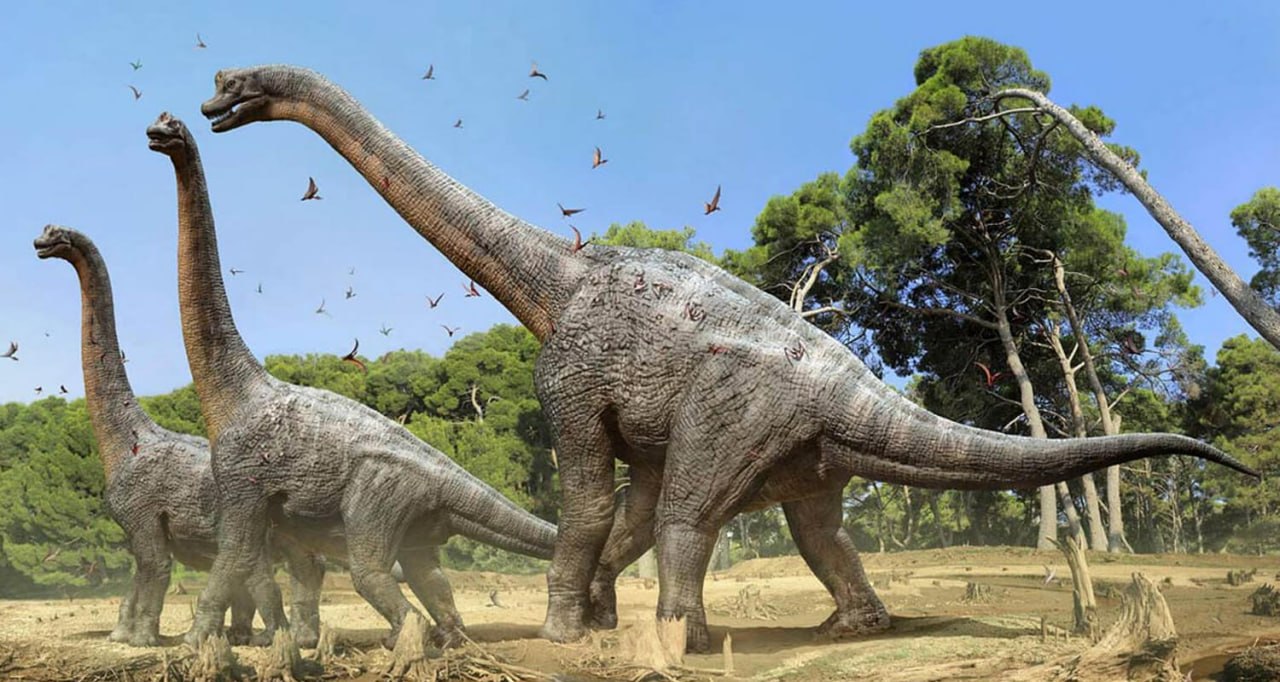 Dinozavrlarla bağlı İNQİLABİ TAPINTI &ndash; Fildən 9 dəfə böyük olub... &ndash; FOTO