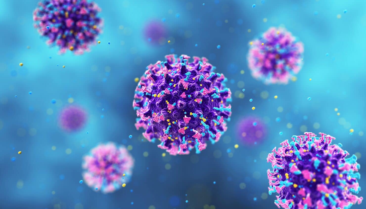 4 il əvvəl "hantavirus"la bağlı edilən paylaşım viral oldu - FOTO