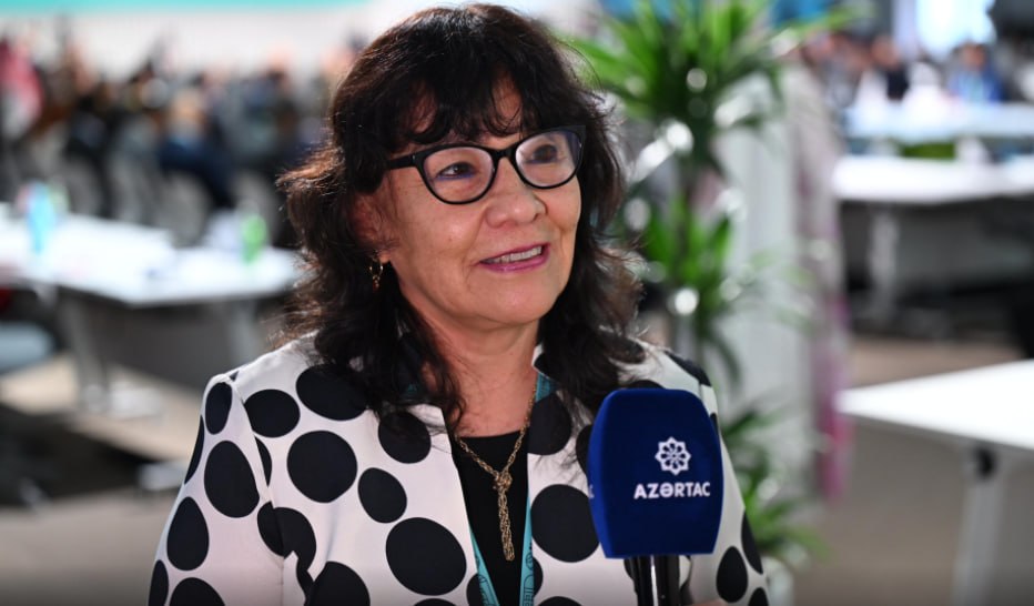 Peru səfiri: &ldquo;WUF13 şəhərlərlə bağlı milli siyasətlərin formalaşdırılması üçün mühüm platformadır&rdquo; - VİDEO