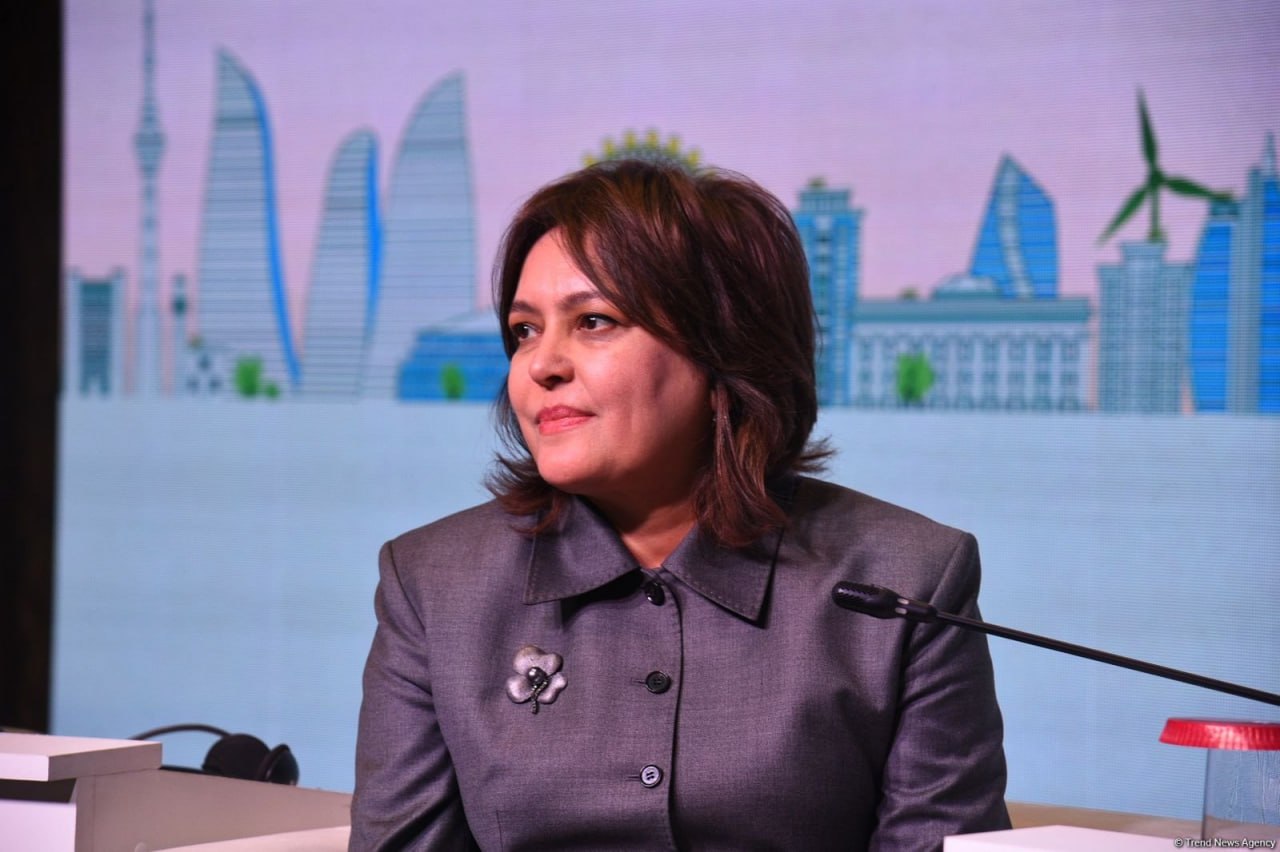 Azərbaycan müxtəlif ekoloji problemlərlə üzləşib - Umayra Tağıyeva