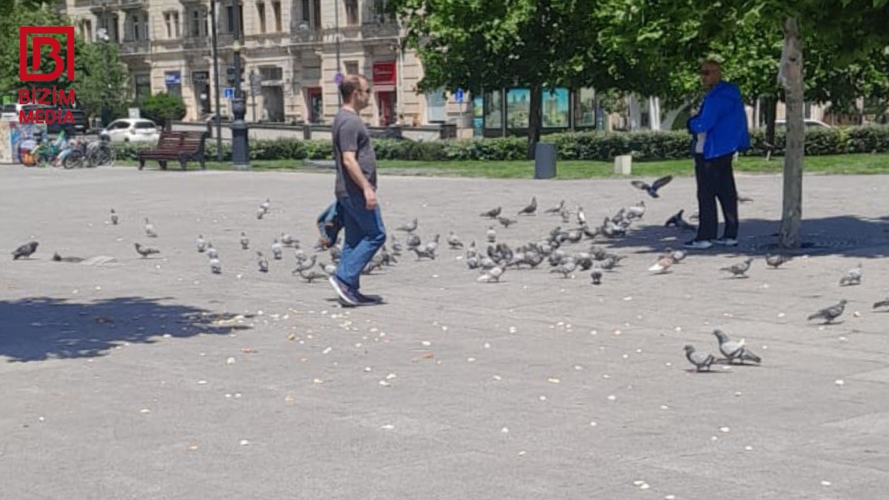Göyərçinlərə qayğı, yoxsa çörəyə hörmətsizlik? &ndash; FOTOFAKT