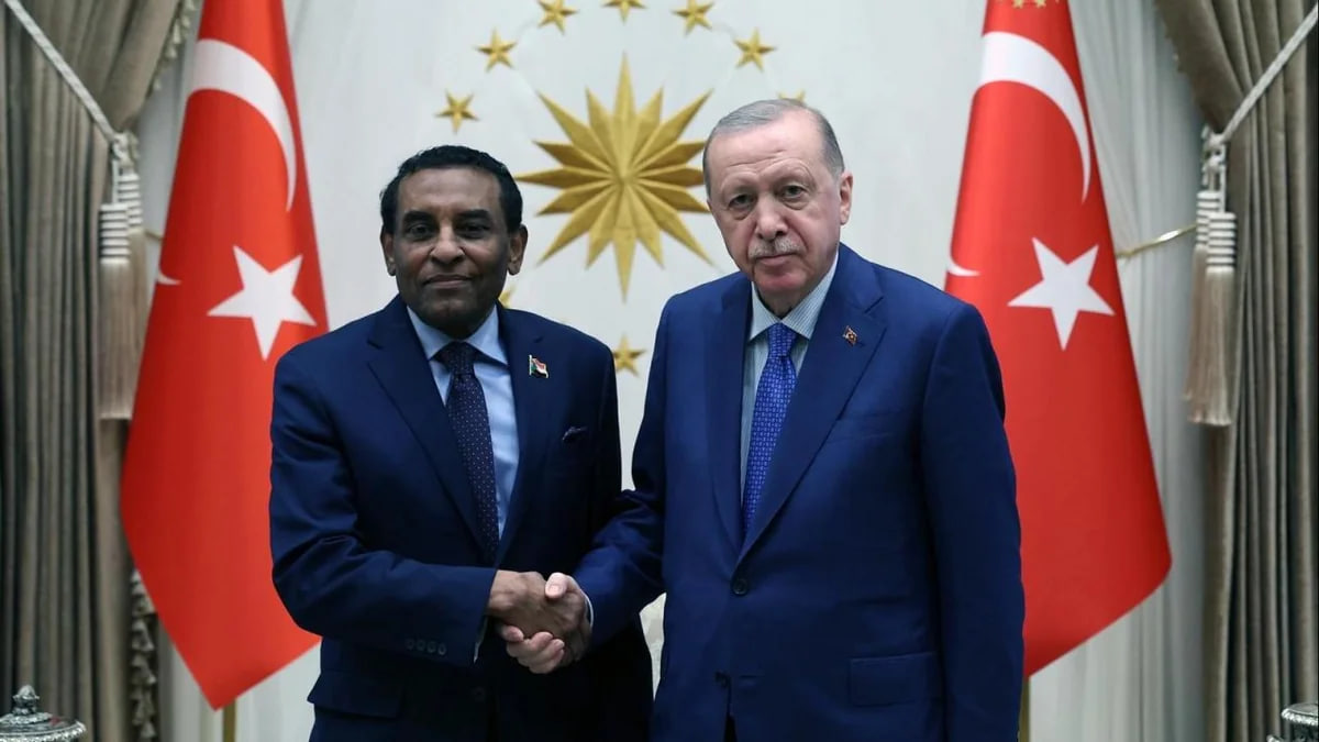 Ərdoğan Kamil İdrisi qəbul edib
