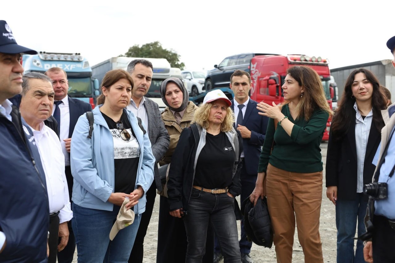 Qəhvəyi mərmər bağalığı yenidən aktivləşib - FOTO