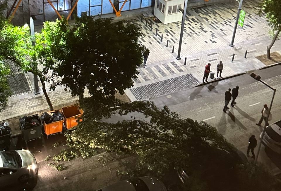 TƏCİLİ! Bakıda güclü külək ağacı avtomobilin üzərinə AŞIRDI &ndash; FOTO/VİDEO