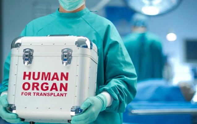 Baş nazirdən sümük iliyi transplantasiyası ilə bağlı QƏRAR Baş nazirdən sümük iliyi transplantasiyası ilə bağlı QƏRAR