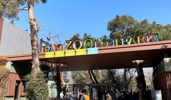 Bu qurum niyə 350 min manata siçan-siçovul alır?