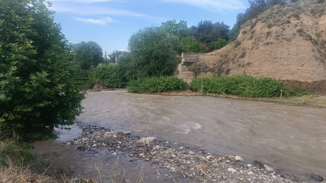 Tovuza qonaq gəldi - Çayda batdı - FOTO