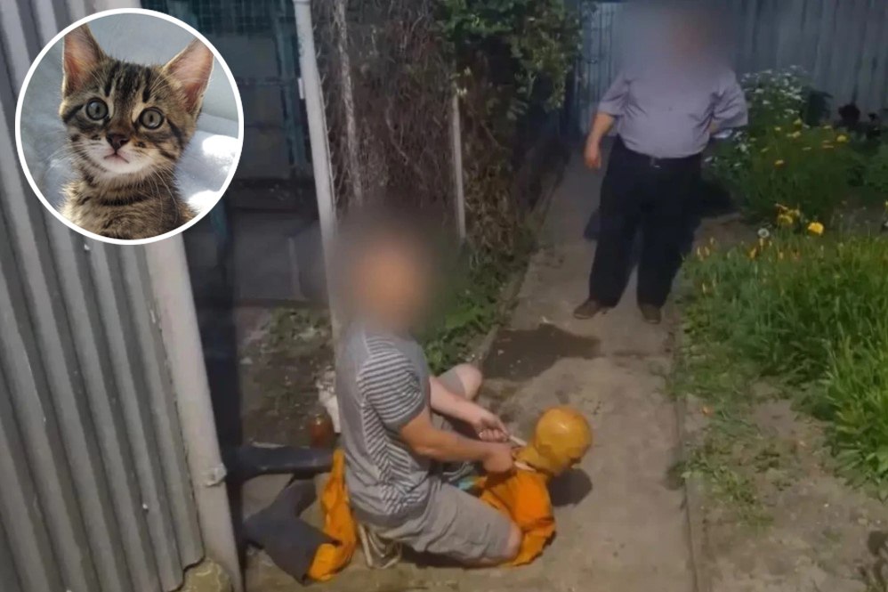 43 yaşlı kişi pişiyini zəhərləyən qonşu qadını boğaraq öldürdü
