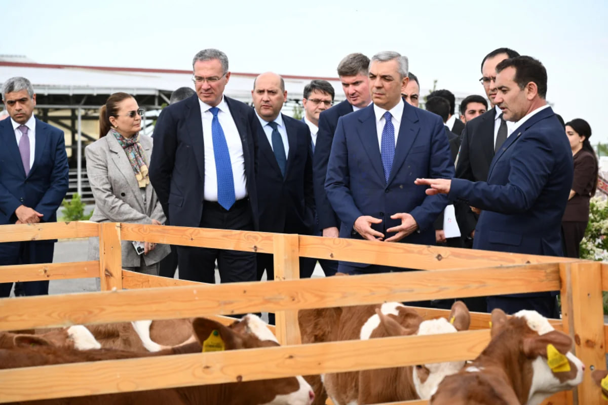 Xocalıda heyvandarlıq kompleksi ilə tanışlıq - FOTO