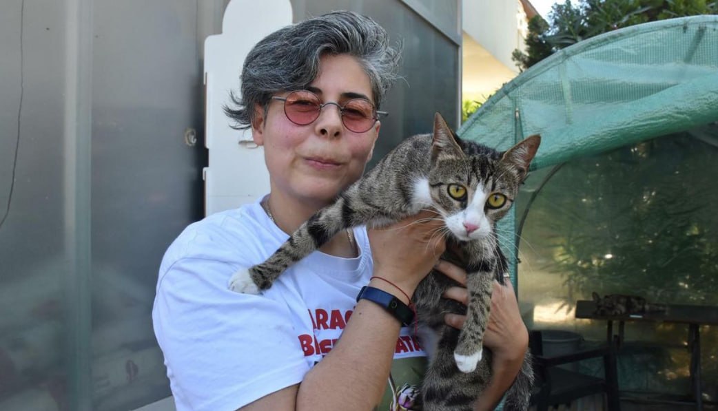 Altı milyonda bir görülən hadisə - &ldquo;Erkək&rdquo; pişik balaladı &ndash; FOTO