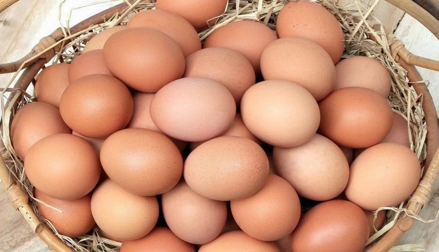 1 qəpiklik yumurtanın içindən görün nə çıxdı - VİDEO